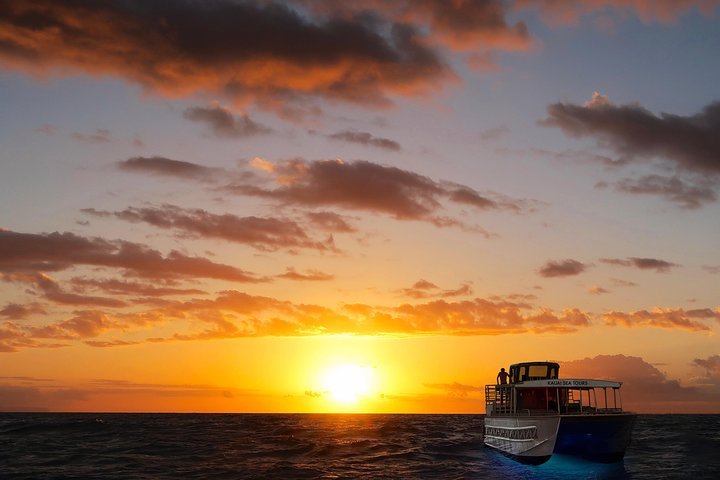 End the day with a beautiful sunset and magical lights that attract the marine life below. 